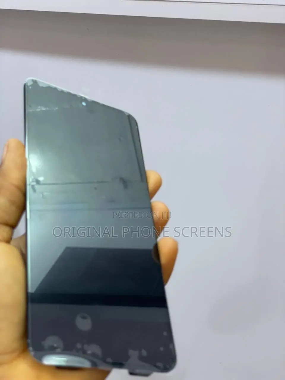 Google Pixel 8 Pro Screen