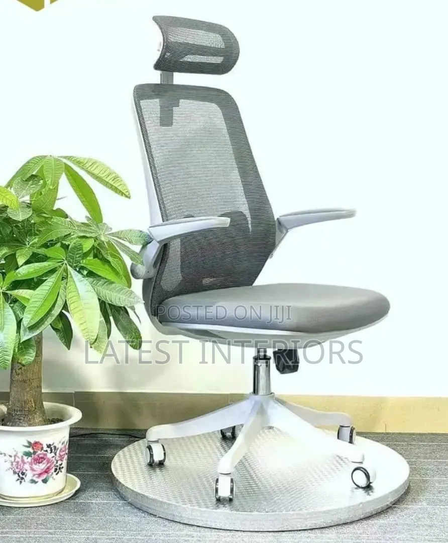 Executive Ergonomic Office Chair