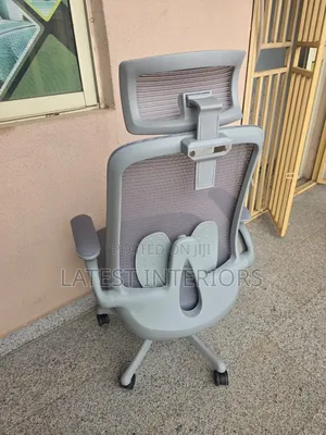 Executive Ergonomic Office Chair
