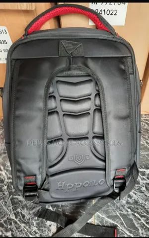 Frozen Multicolour School Bag And Black Backpack