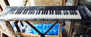 Yamaha Piaggero Np-12 Electronic Keyboard