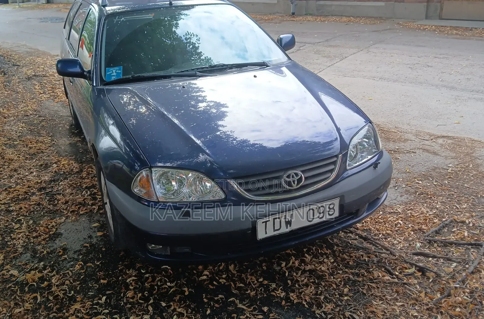 Volkswagen Sharan 2005 Blue