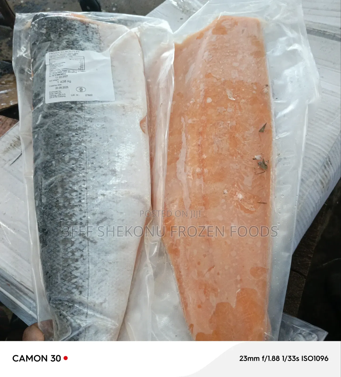 Salmon Fish