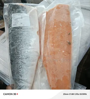 Salmon Fish