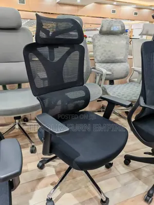 Mesh Ergonomic Office Chair.