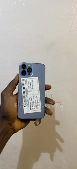 Apple iPhone 13 Pro Max 1 TB Blue