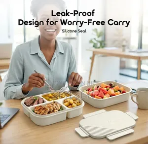 Food Case 4 Compartment