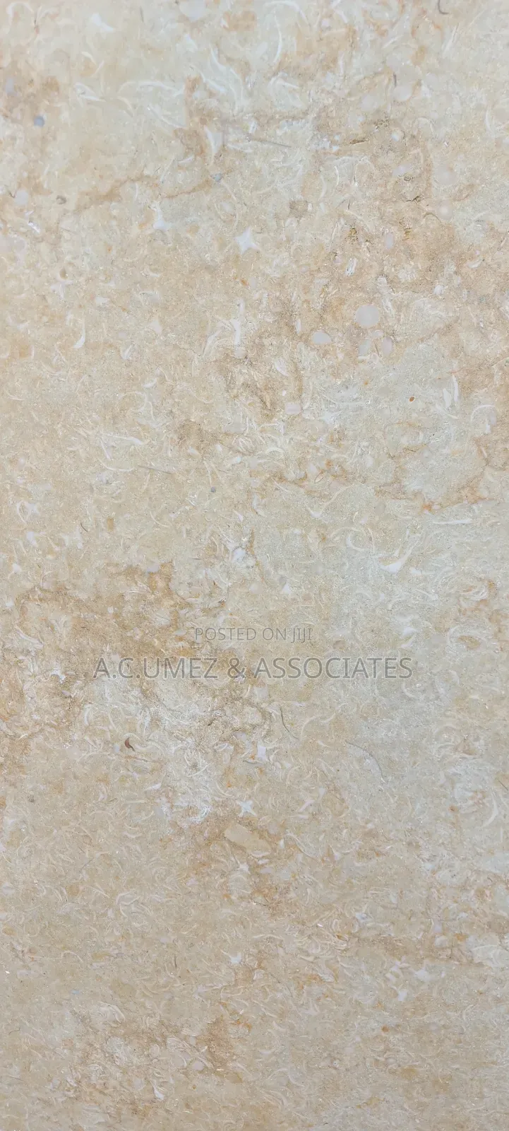 Cream Marble