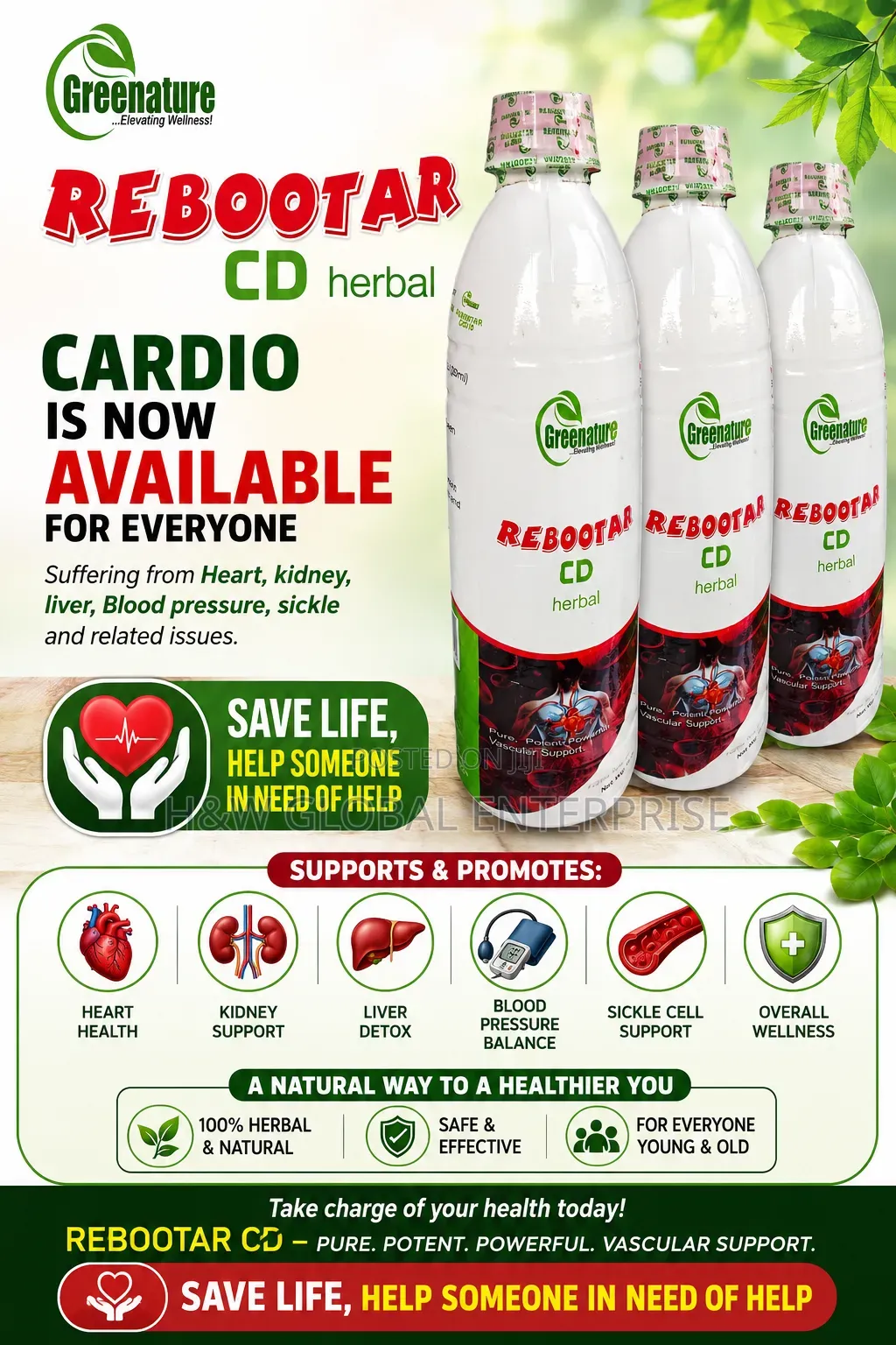 Rebootar Cd Cardio (Heart Cardiovascular System)