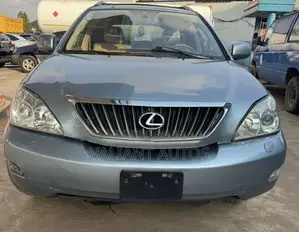 Lexus RX 2009 Blue