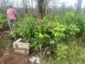 Plots of Land for Sale