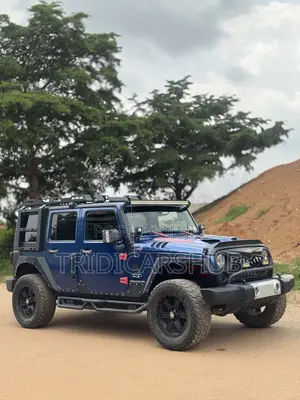Jeep Wrangler Sahara 2010 Blue