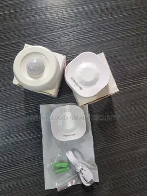 Wireless Motion Sensor