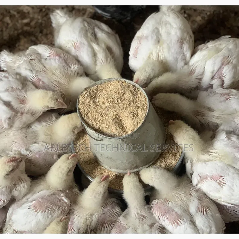 3weeks Broiler