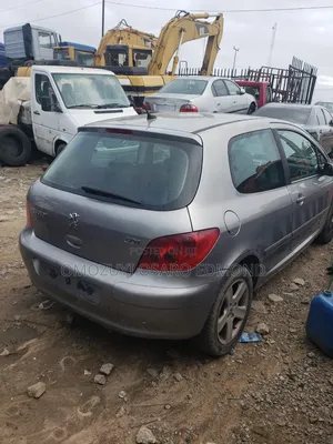Peugeot 307 2004 Silver