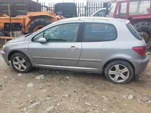 Peugeot 307 2004 Silver