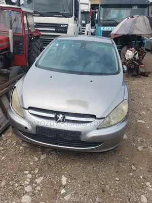 Peugeot 307 2004 Silver