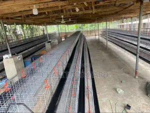 Battery Cage