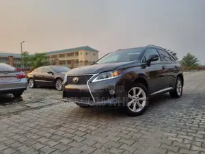 Lexus RX 350 2010 Gray