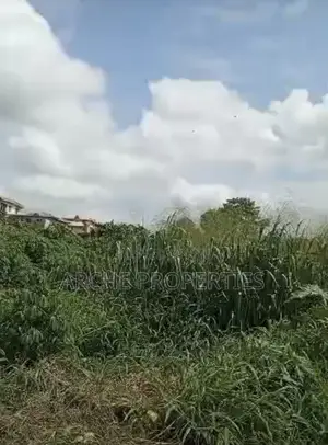 2 Plots of Land at Kenneth, Behind Romchi Hotel Amechi