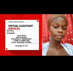 Professional Virtual Assistant Services