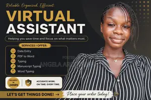Professional Virtual Assistant Services