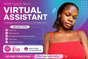 Professional Virtual Assistant Services