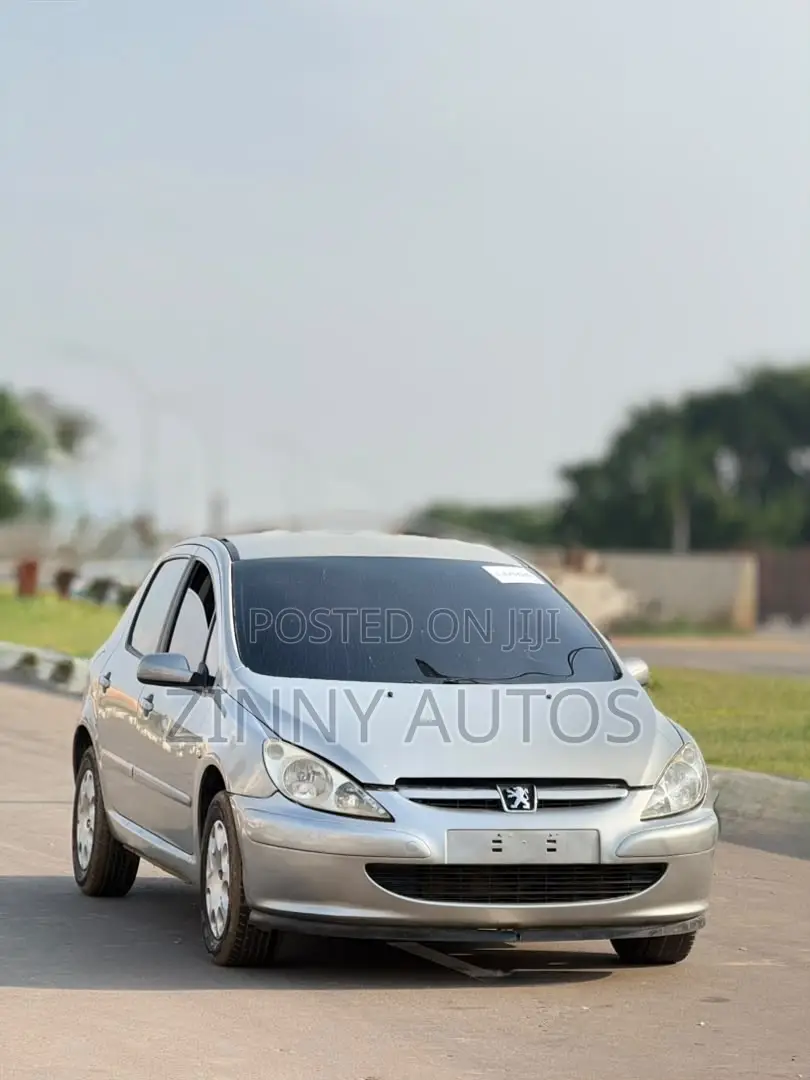 Peugeot 307 2007 Silver