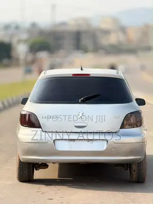 Peugeot 307 2007 Silver