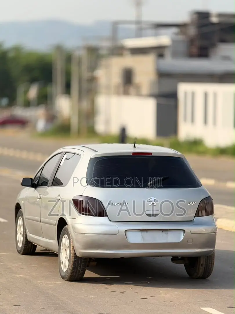 Peugeot 307 2007 Silver