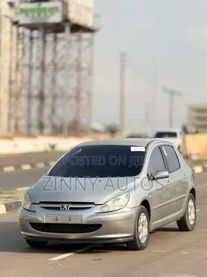 Peugeot 307 2007 Silver