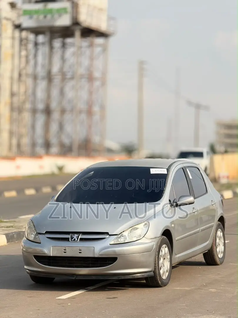 Peugeot 307 2007 Silver