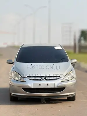 Peugeot 307 2007 Silver