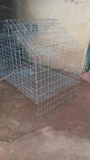 Cages for Pets