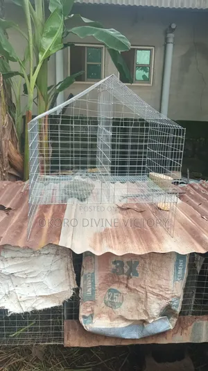 Cages for Pets
