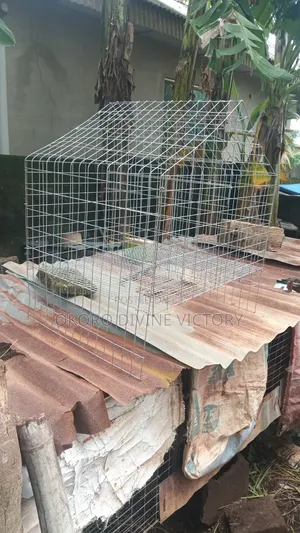 Cages for Pets