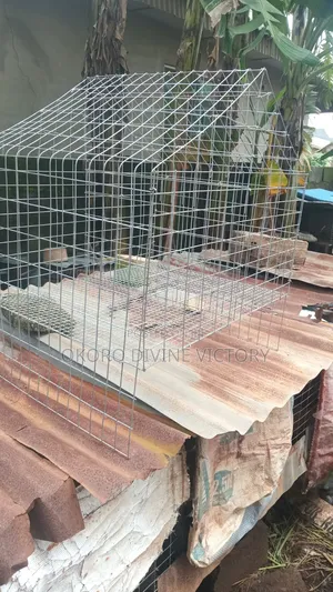 Cages for Pets
