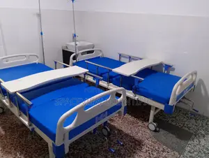 Two Crank Abs Hospital Bed