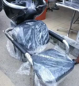Hair Wash Basin