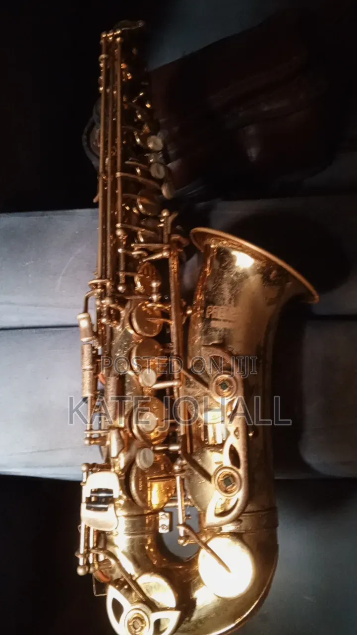 Alto Saxophone 