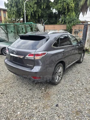Lexus RX 2013 Gray