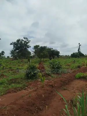 Bazaki Property's And Investment