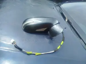 Side Mirror