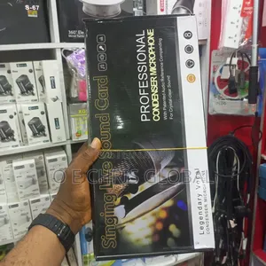 Professional Condenser Microphone