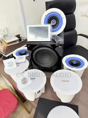 Bose Ceiling Speakers Subwoofer Powered by 7 Inches Smart Amplifier