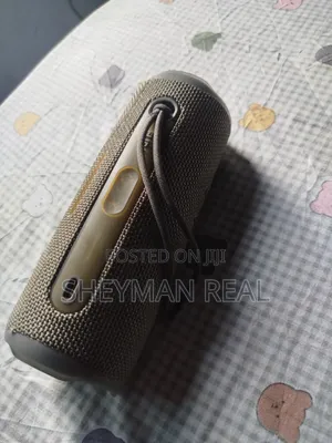 JBL Flip 6