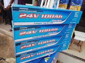 Deep Cycle 100ah Lithium Battery 24v