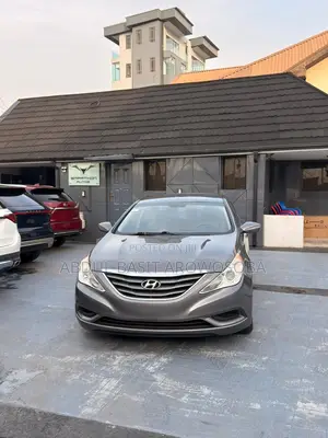 Hyundai Sonata 2010 Gray