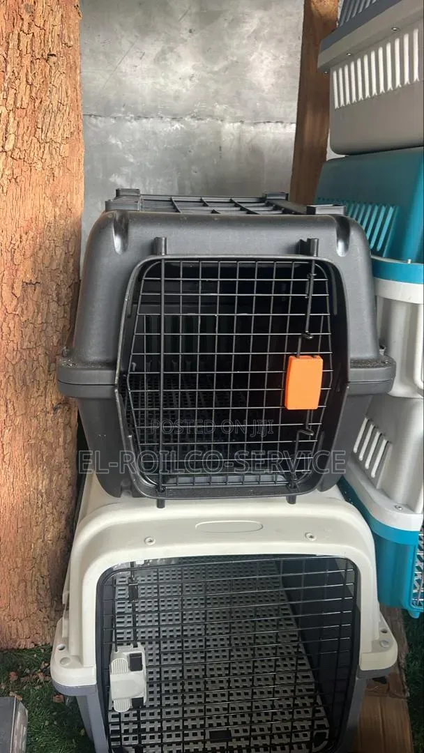 Pet Litter Box and Pet Carrier