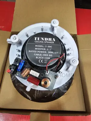 Tundra 30watts Frame Ceiling Speaker
